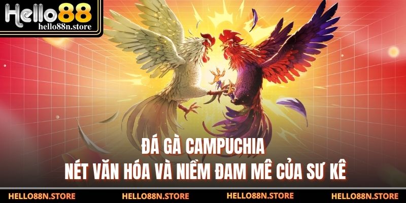 Đá Gà Campuchia – Nét Văn Hóa Và Niềm Đam Mê Của Sư Kê