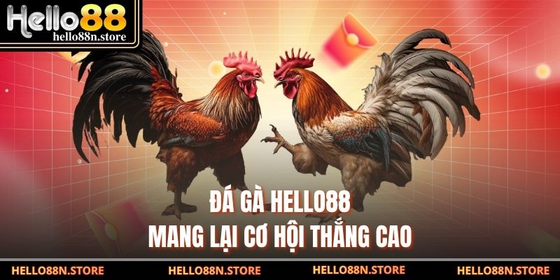 Đá gà Hello88 mang lại cơ hội thắng cao
